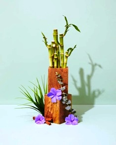 Green Leaf and Bamboo Scent Reed Diffuser-Did you know Bamboo has many uses, you can build with it, it is edible, and you can even wear it. Thank you Mother Nature. This scent has top notes of citrus and ozone, middle notes of green sterns and leaves and spicy florals and bottom note of wood.